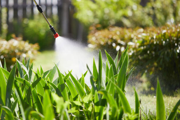 Tamper-Resistant Bait Stations for Rodents in Star City