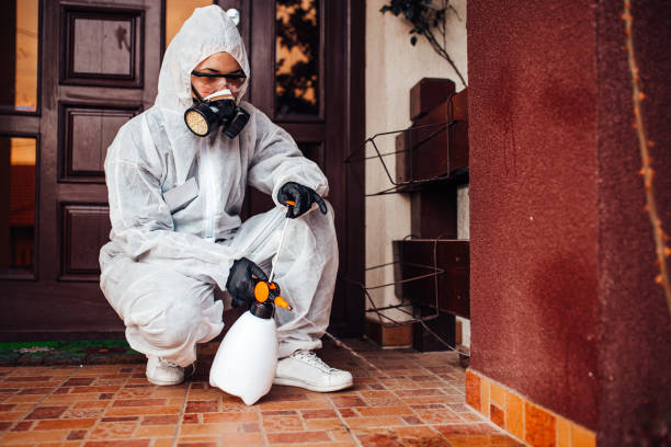 Attic and Crawl Space Rodent Treatment in Star City